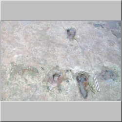 100_1245(07-30-2009p) mod.JPG